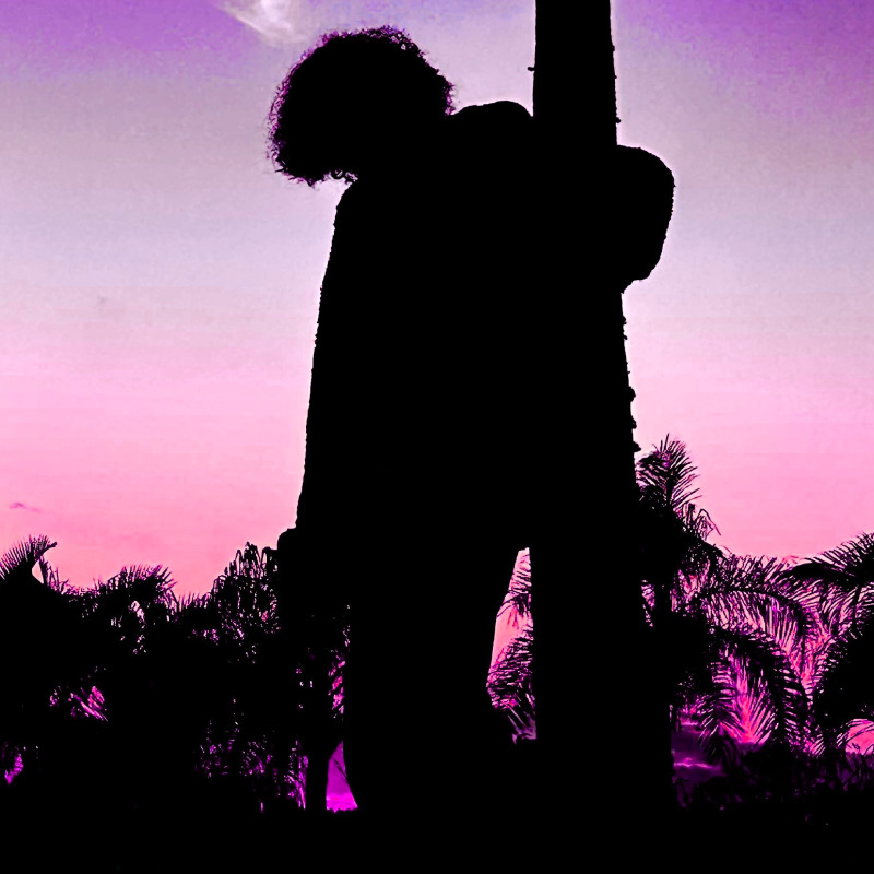 dance with me cover art